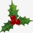 holly decorations for christmas png