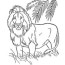 free printable lion coloring pages