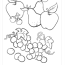 fruit coloring pages free food