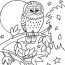 printable owl coloring pages