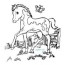 free foal baby horse coloring page