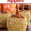 homemade caramel apples recipe and
