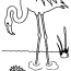 flamingo animals coloring pages