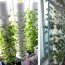 diy hydroponic pots for hydroponics