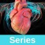 cardiac system 1 anatomy and