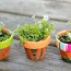 16 diy flower pot ideas to showcase