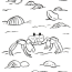 ghost crab coloring page art starts