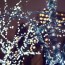 best outdoor christmas lights for your