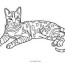 free printable cat coloring pages for kids