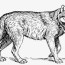 wolf animal coloring pages transparent