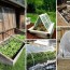 top 10 cold frame tips for fall and