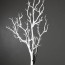 white stick tree fm9018 b flora mystique