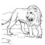 african lion coloring page color luna
