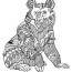 bear 1 bears adult coloring pages