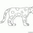 coloring pages animal classification