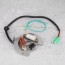 buy atv stator magneto coil replacement