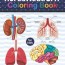 human body anatomy coloring book for
