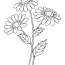 free flower coloring pages for kids