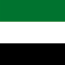 united arab emirates uae flag color codes