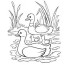 drawing duck 1487 animals