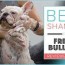 6 best dog shampoos and conditioners