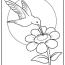 hummingbird coloring pages updated 2022