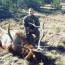 colorado diy otc elk hunting