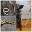 diy doggie leashes 9 great leashes you