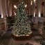 beautiful lobby area christmas tree