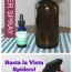 how to make a natural spider repellent