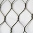 hot sale stainless steel wire mesh bird