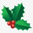 holly christmas decorations clipart