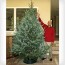 25 super sturdy christmas tree stands