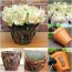 15 diy flower pot ideas