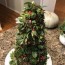 succulent christmas tree
