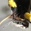 how to properly repair aluminum wire