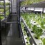 vertical hydroponics nft systems and