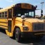 buses for sale school shuttle more