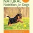 raw food for puppies how to feed your