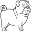pug terrier dog coloring page