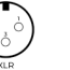 female mini xlr to female xlr adapter