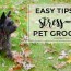 diy pet grooming tips