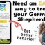 feed a german shepherd puppy