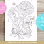carnation flower coloring page graphic