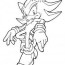 shadow the hedgehog often acts alone