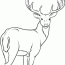 deer coloring pictures coloring home