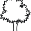tree 5 coloring page