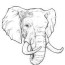 elephant face coloring page coloring