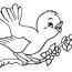 free bird coloring pages clip art library