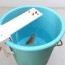 buy diy mouse trap mouse mice rodent
